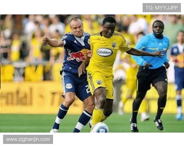 千叶队与新泻队对决前瞻分析及赛季表现预测