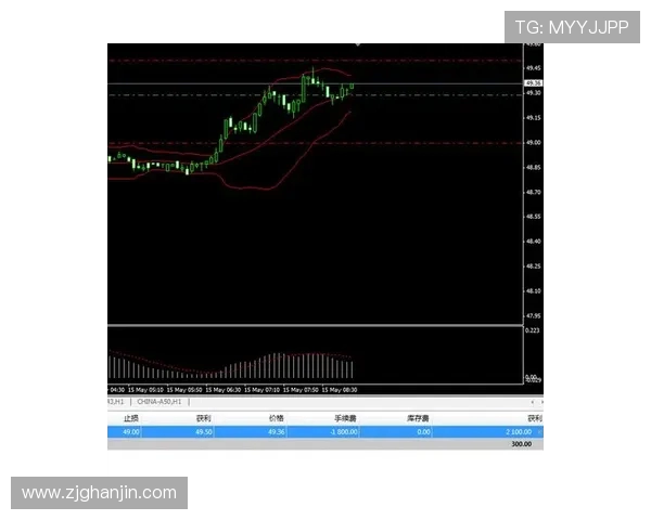 奥地利与俄罗斯精彩对决直播全程回顾与分析