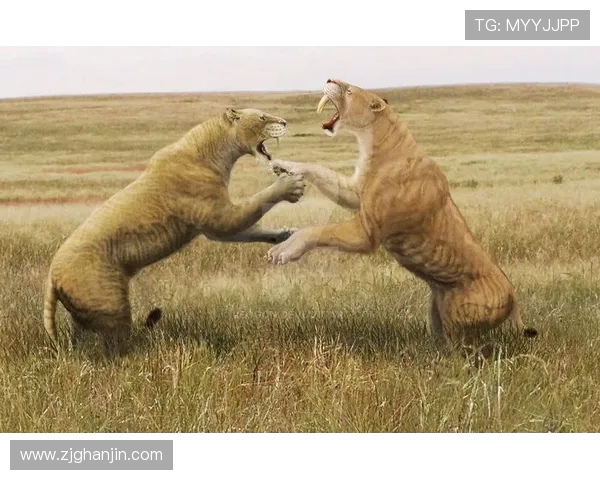 巴西队与伊朗队激战正酣谁将赢得这场精彩对决的胜利 巴西队与伊朗队激战正酣谁将赢得这场精彩对决的胜利