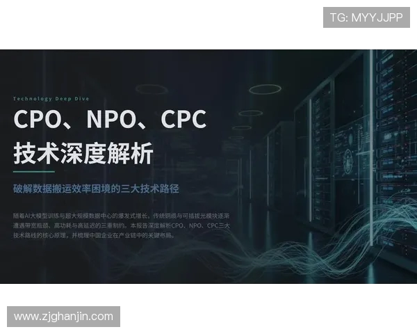 深度分析WE战队的阵地战策略与战术布局解析