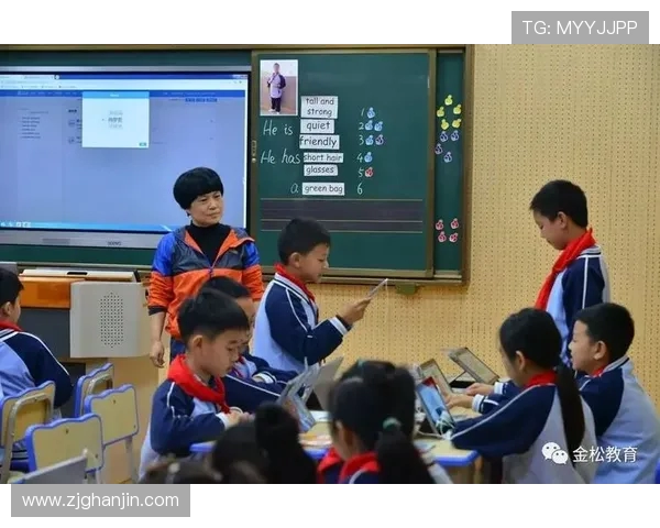 深度对话王磊排球人生的起伏与梦想追逐之路