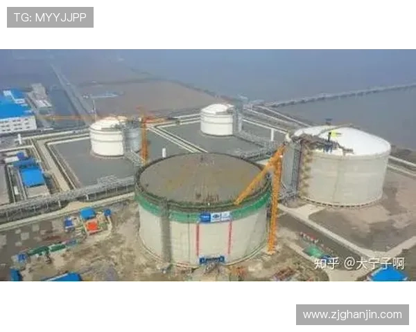 LNG在青年赛中的强势表现分析与点评展现团队实力与潜力